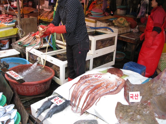 this lady ripped off the head of a live octopus while holding an entirely everyday conversation with a customer. She then bagged it, and gave it the guy with muscles still twitching. Woah!