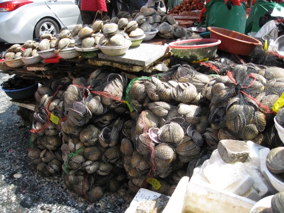 clams clams clams
