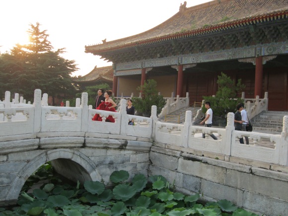 Forbidden City lily pads and a wedding photo shoot!